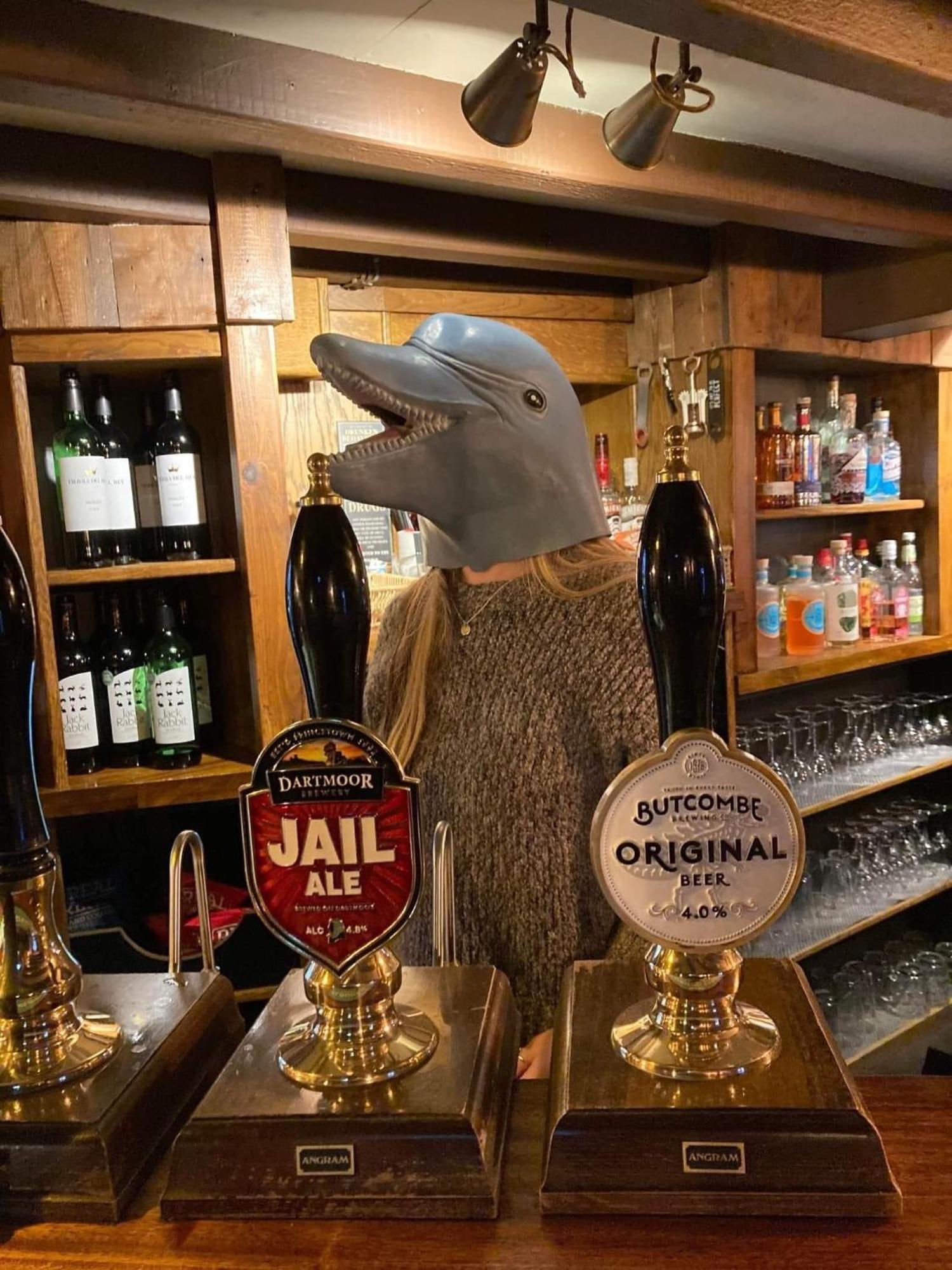 The Dolphin Inn Kingsbridge  Habitación foto